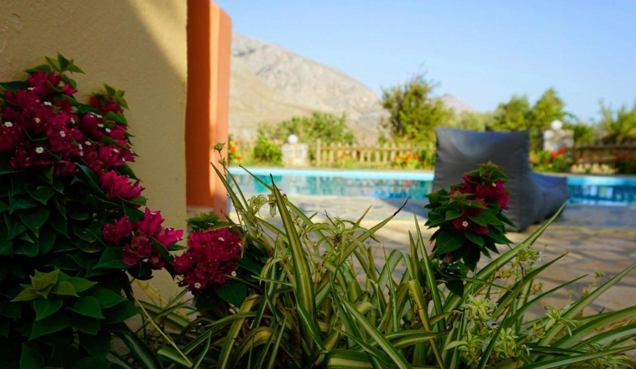 Villa Despina 1 Plakias Private Villa, Private Swimming Pool Garden,Amazing View Lefkogeia المظهر الخارجي الصورة